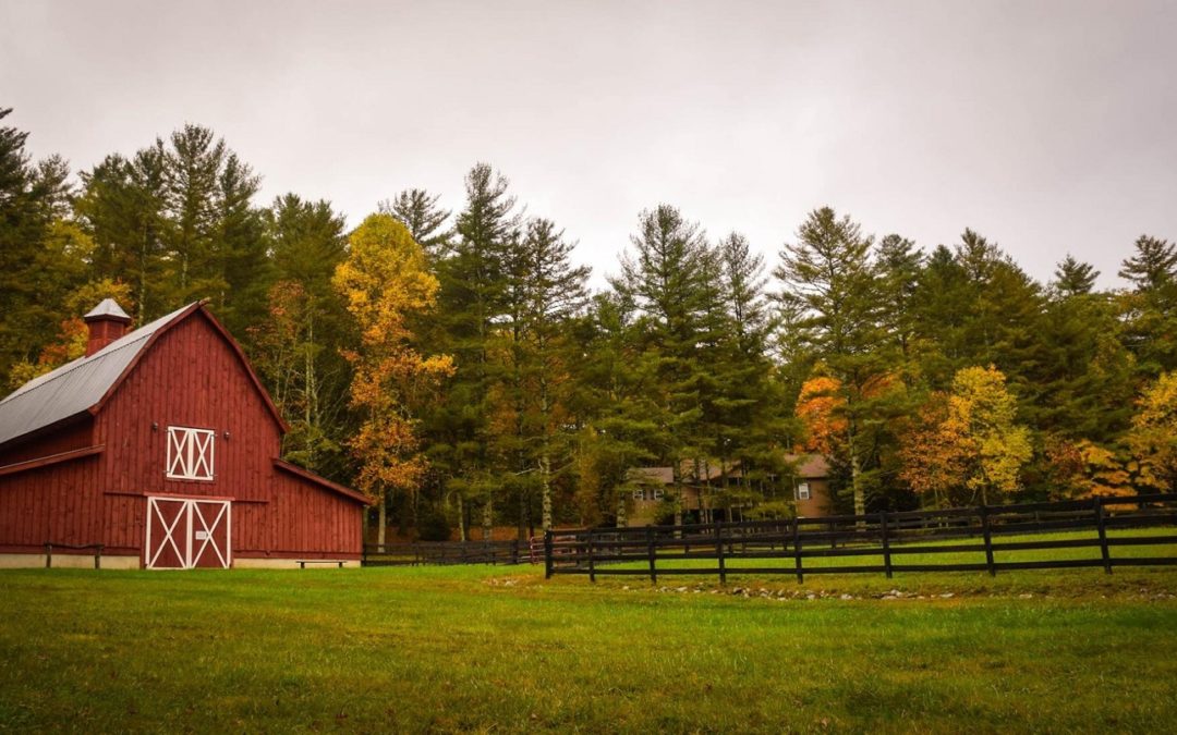 The Impact of America’s New Farm Bill on Anti-Hunger Organizations