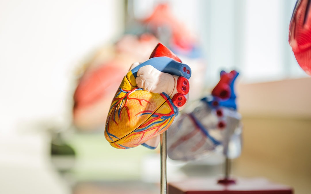 Saint Francis University Launches the Nation’s First Masters in Cancer Care Program