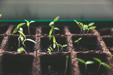 Are You Ready to Begin an Annual Giving Program?